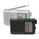 Panda Medium Wave Short Wave Old Man Radio