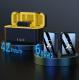 Wireless Microphone Kit