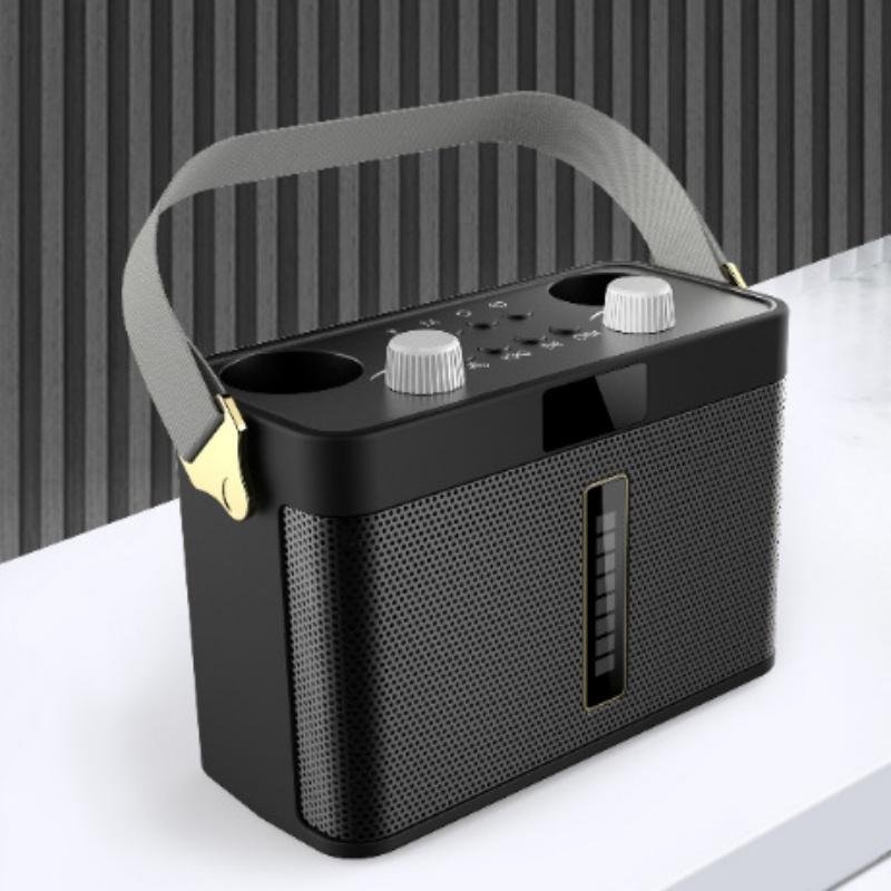 Outdoor Bluetooth Speaker Karaoke Double Microphone Classroom Teaching Meeting Party