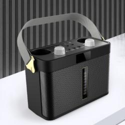 Outdoor Bluetooth Speaker Karaoke Double Microphone Classroom Teaching Meeting Party