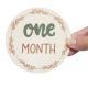 Baby Monthly Milestone Card Wooden Board