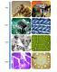 Digital Microscope HD 7 Inch