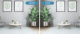 1080P Cloud IP Camera