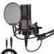 Mobile Phone Voice Game Microphone Computer Anchor Karaoke Recording Microphone