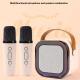Wireless Bluetooth Audio Mini Microphone Singing And Singing All-in-one Machine Childrens Family Ktv Suit