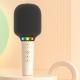 Microphone Audio Integrated Microphone Loudspeaker Bluetooth Childrens Handheld Karaoke
