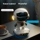 Intelligent AI A Large Model Audio