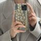 Twist Braid Transparent Case Cold Wind