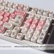 Fragrant Pig Key Cap MOA Height PBT Key Cap Five-sided Sublimation Cute