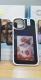 NFC Screen Projection Smart Color E-ink Screen Phone Case