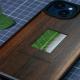 Plant Specimen Solid Wood Phone Case