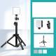 Portable Mini Phone Selfie Fill Light
