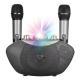 Family Ktv Microphone