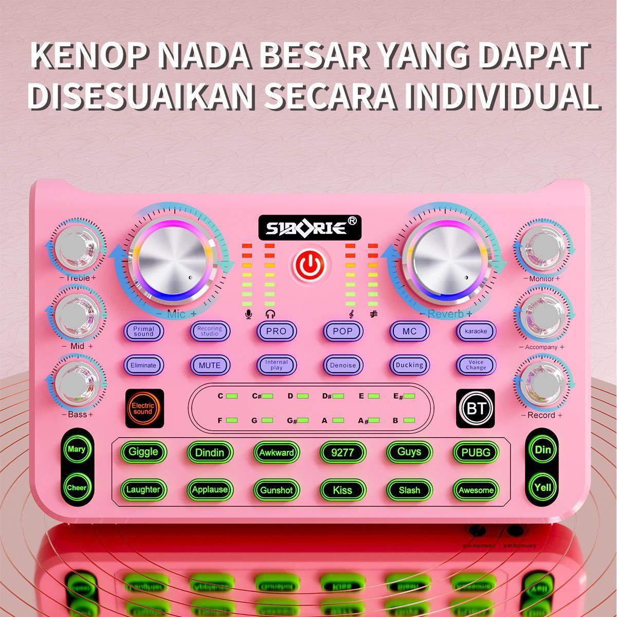 Version X66 M998 Sound Card For Live Show KTV Microphone Full Set