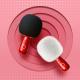 G2 Small Dome Microphone Home Bluetooth K Song
