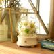 Teachers Day Gift Simple Preserved Fresh Flower Bluetooth Speaker