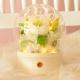 Teachers Day Gift Simple Preserved Fresh Flower Bluetooth Speaker