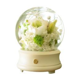 Teachers Day Gift Simple Preserved Fresh Flower Bluetooth Speaker
