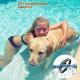 Remote Control Bark-stop Collar Pet Trainer