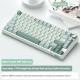 Wireless Mechanical Keyboard Bluetooth The Third Mock Examination
