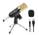 Reverb BM800 microphone