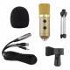 MK-F100TL with reverberation condenser microphone