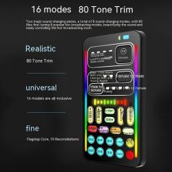 Mobile Computer Live Mini Sound Card Voice Changer Key American Tone Bmazing Slow Downer