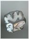 Original Matte Silver Tooth Earphone Shell