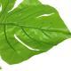 Simulation Turtle Leaf Sunflower Leaf