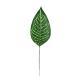 Turtle leaf simulation plant