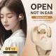 Popular Ear-mounted Simultaneous Interpretation