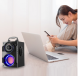 Portable mini portable home audio with subwoofer
