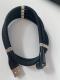 Three In One Data Cable 540 Degree Rotation Spherical Magnetic Charging