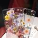 Dry flower mobile phone case
