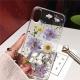 Dry flower mobile phone case