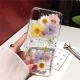 Dry flower mobile phone case