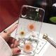Dry flower mobile phone case