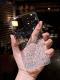 Starry Sky Silver Foil Epoxy Phone Case