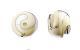 AI Translation Small Coconut Ball Wireless Bluetooth Headset Ear-mounted Headset