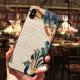 Compatible with Apple , Peacock relief phone case