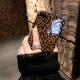 Leopard zebra phone case