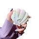 Colorful Shell Headphone Case