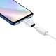 Compatible with Apple, Adapter Iphone8 Female To Type-C Male  8PIN To Type-C Adapter