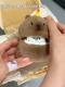 Capabala Earphone Case Cute Capybara Bluetooth Headset