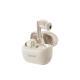True Wireless Dual Noise-reduction Bluetooth Headset