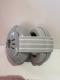 Baby Anti-noise Earshield Child Sleeping Sleep Soundproof
