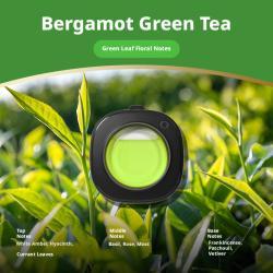 air-outlet-car-aromatherapy-bergamot-tea-1-piece-cjcz28451590001