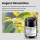 Car Aromatherapy-Balm Style-Gardenia After Rain-1 bottle