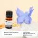 Butterfly Car Diffusing Stone-Pink-Yulong Tea
