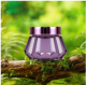 Car solid balm-Charming Gulong-60g-1 piece